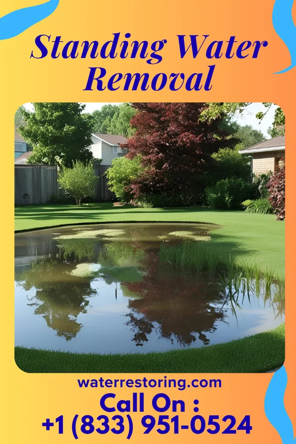 Standing Water Removal in Key Center, WA